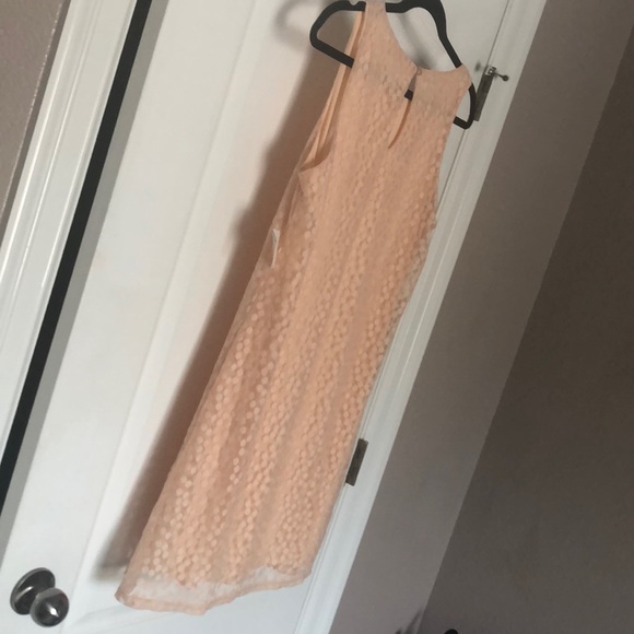 NWT Nordstrom Dee Elle Lace Spring Blush Peach Polka Dot Sleeveless Shift Dress - Picture 11 of 12